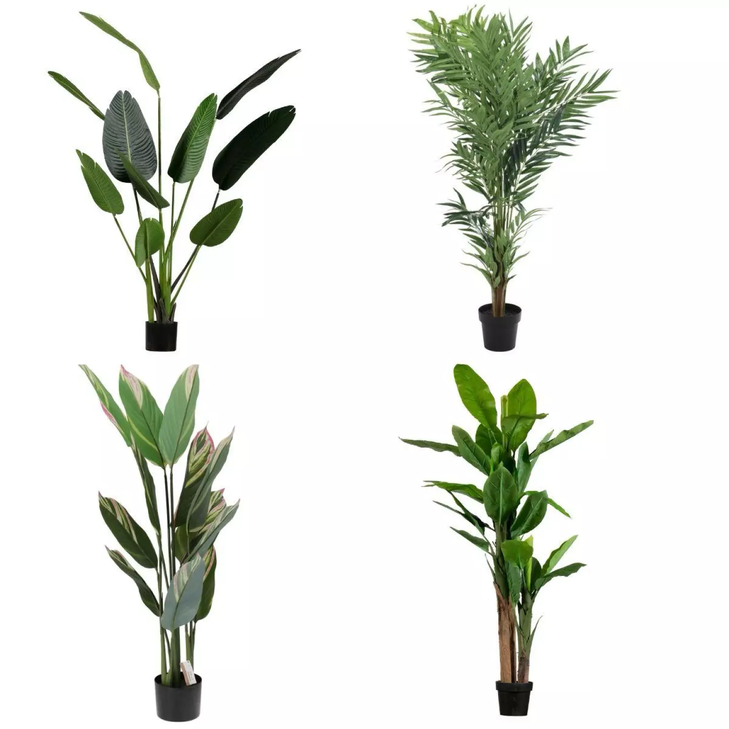 Huur je Kunstplant Groot bij KeyPro! Kunstplant Groot huren? Huur bij KeyPro meubelhuur!