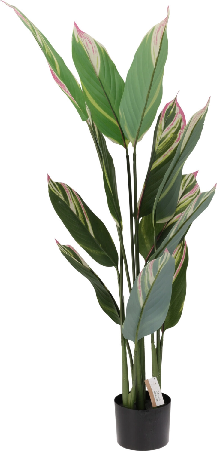 Huur je Kunstplant Joost 118cm bij KeyPro! Kunstplant Joost 118cm huren? Huur bij KeyPro meubelhuur!