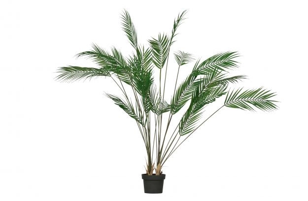 Kunstplant Palm (groen) huren? Huur bij KeyPro meubelhuur!