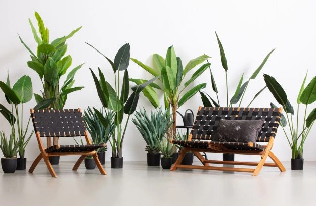 Rent a Artificial plant Strelitzia (green)? Rent at KeyPro furniture rental!