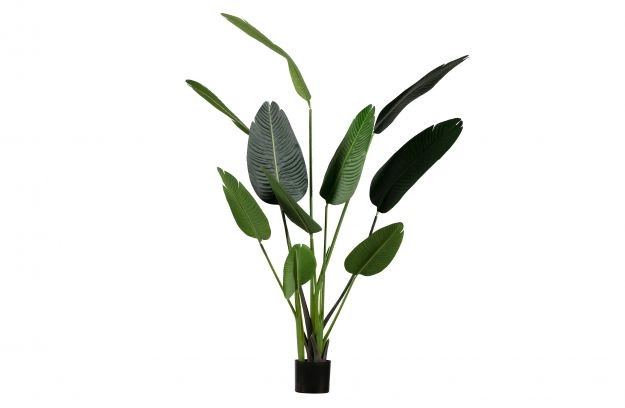 Kunstplant Strelitzia (108cm) huren? Huur bij KeyPro meubelhuur!