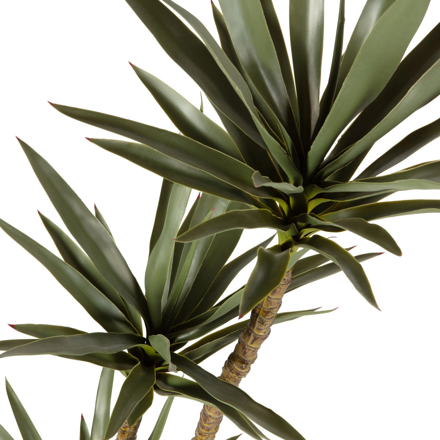 Kunstpflanze Yucca (155cm) mieten? Mieten Sie bei KeyPro Möbelverleih!