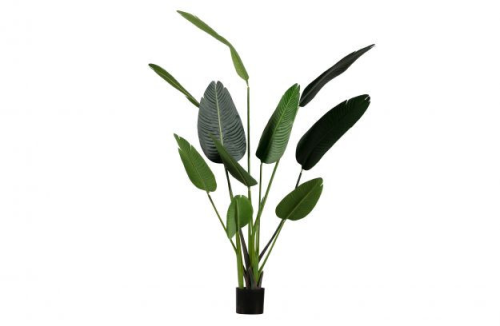 Kunstplant Strelitzia (164cm) huren? Huur bij KeyPro meubelhuur!