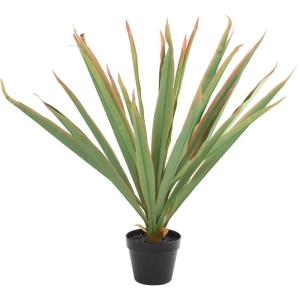 Rent a Artificial plant Yucca (green)? Rent at KeyPro furniture rental!