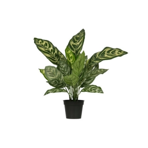 Kunstplant Aglaonema (groen) huren? Huur bij KeyPro meubelhuur!